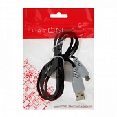 USB  micro USB 1.0 LuazON ,   4465917