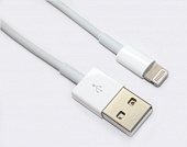 USB   iPhone 8pin 1.0 () 