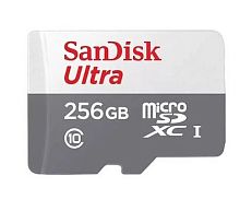 Носитель информации Transflash(MicroSDXC) 256Gb SANDISK (SDSQUNR-256G-GN3MN), UHS-I 