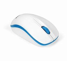 Беспроводная мышь ExeGate Professional Standard SR-9055W (радиоканал 2,4 ГГц, USB, оптическая, 1200dpi, 3 кнопки и колесо прокрутки, белая, Color Box)