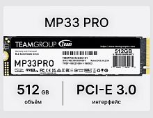 Твердотельный накопитель 0512,0 Gb SSD Team Group Elit MP33 PRO (TM8FPD512G0C101), PCI-E 3.0, 1700/3500 МБ/с