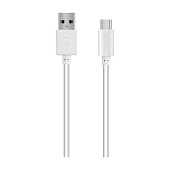 USB  Type-C 1.0  ACME CB1041W